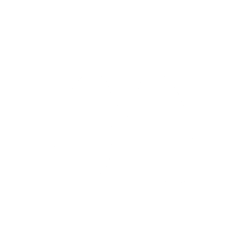 respiration icon